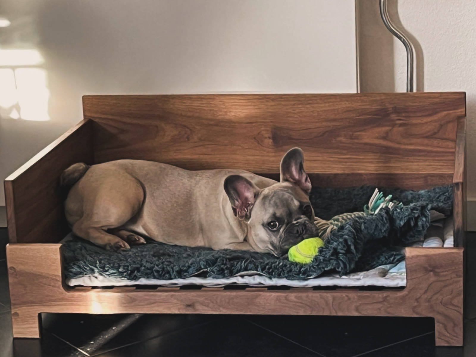 Hondje Branca in haar nieuwe bed